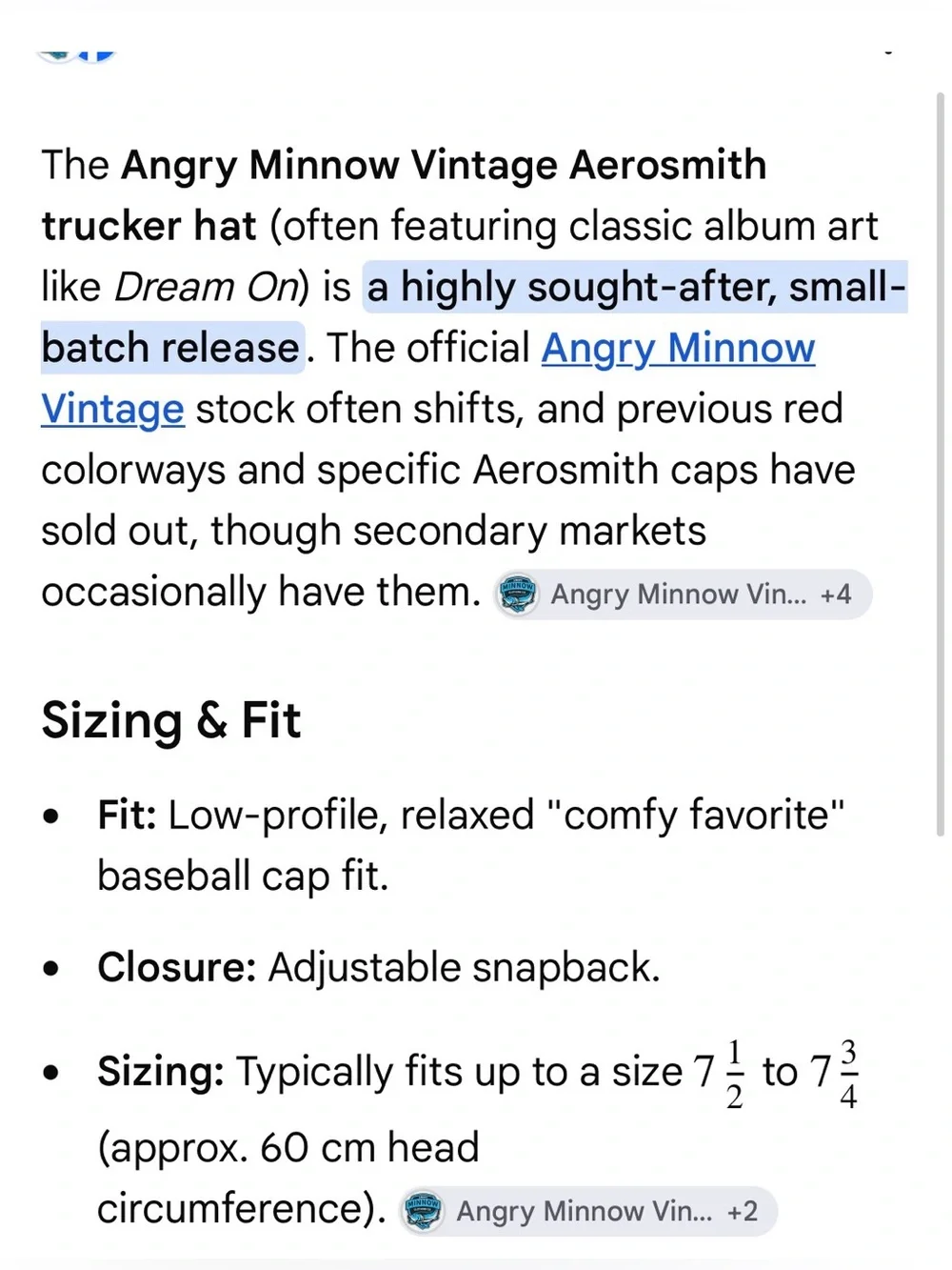 Angry Minnow Vintage Aerosmith Red Wing Trucker Hat RARE - Picture 10 of 10